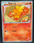 Torchic