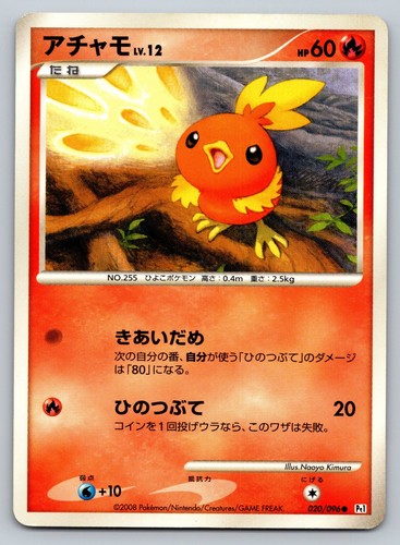 Torchic