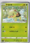 Turtwig