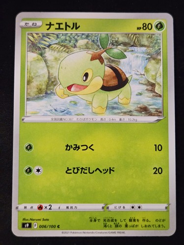 Turtwig