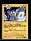 Pachirisu