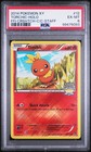 Torchic