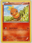 Torchic