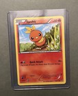 Torchic