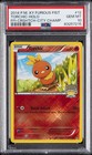 Torchic