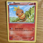Torchic