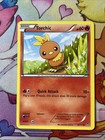 Torchic