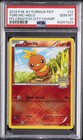 Torchic