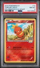 Torchic
