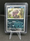 Paldean Wooper