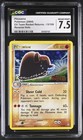 Piloswine