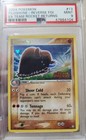 Piloswine