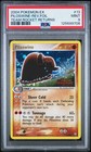 Piloswine