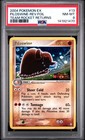Piloswine
