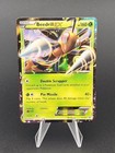 Beedrill EX