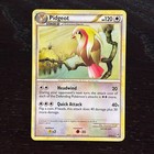 Pidgeot