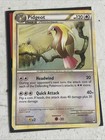 Pidgeot