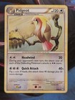 Pidgeot