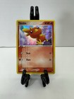 Torchic