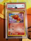 Torchic