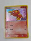 Torchic