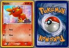 Torchic