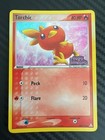 Torchic