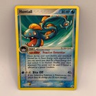 Huntail