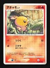 Torchic