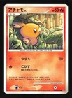 Torchic