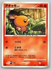 Torchic