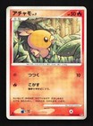 Torchic