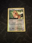 Pidgey