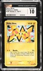 Pichu Bros.