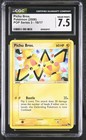 Pichu Bros.