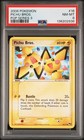 Pichu Bros.