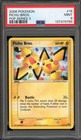 Pichu Bros.