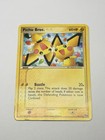 Pichu Bros.