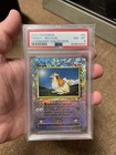 Pidgey