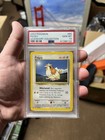 Pidgey