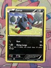 Zorua