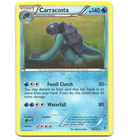 Carracosta