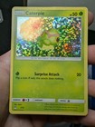 Caterpie