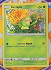 Caterpie