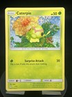 Caterpie