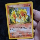 Ponyta