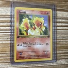 Ponyta