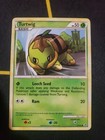 Turtwig
