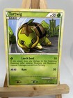 Turtwig