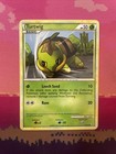 Turtwig